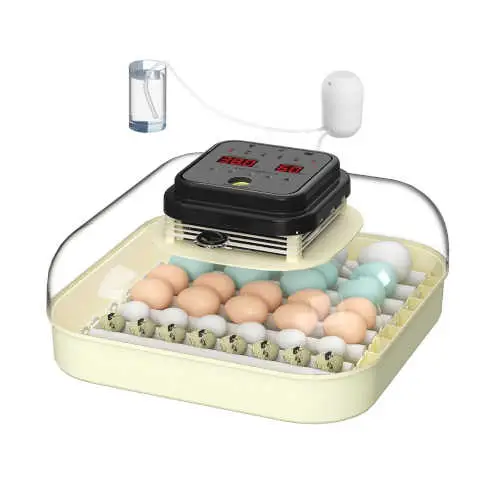 Incubadora de 35 Huevos
