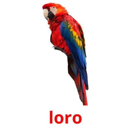 loro